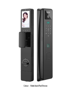 Smart Door Lock with a built-in camera and multiple unlocking methods
