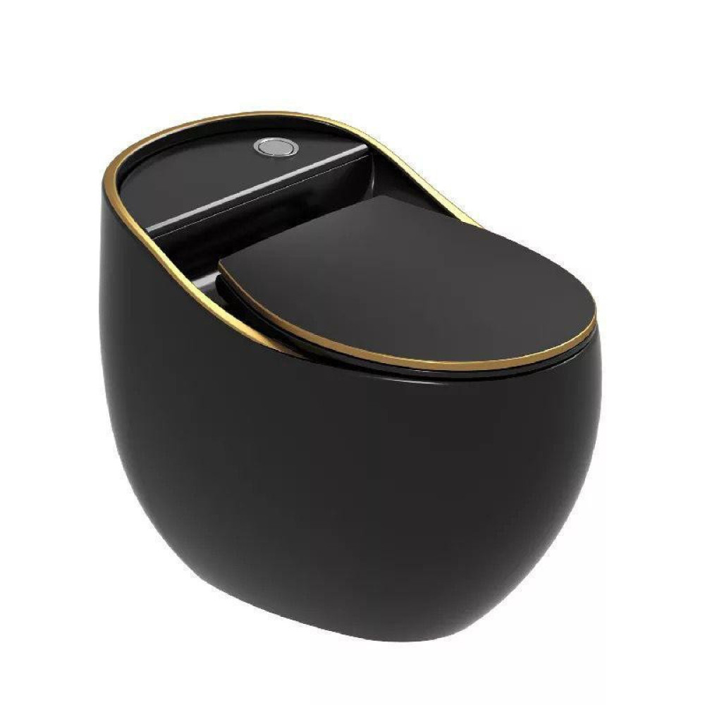 black and Gold one-piece toilet