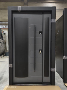 Modern Full metal Security Door likely a model such as the PMR-029