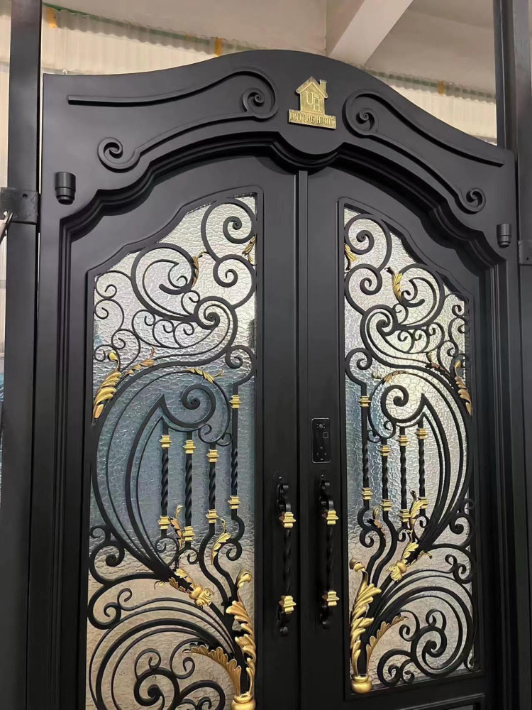 Ornate Wrought Iron Entry Door with a Security Focus