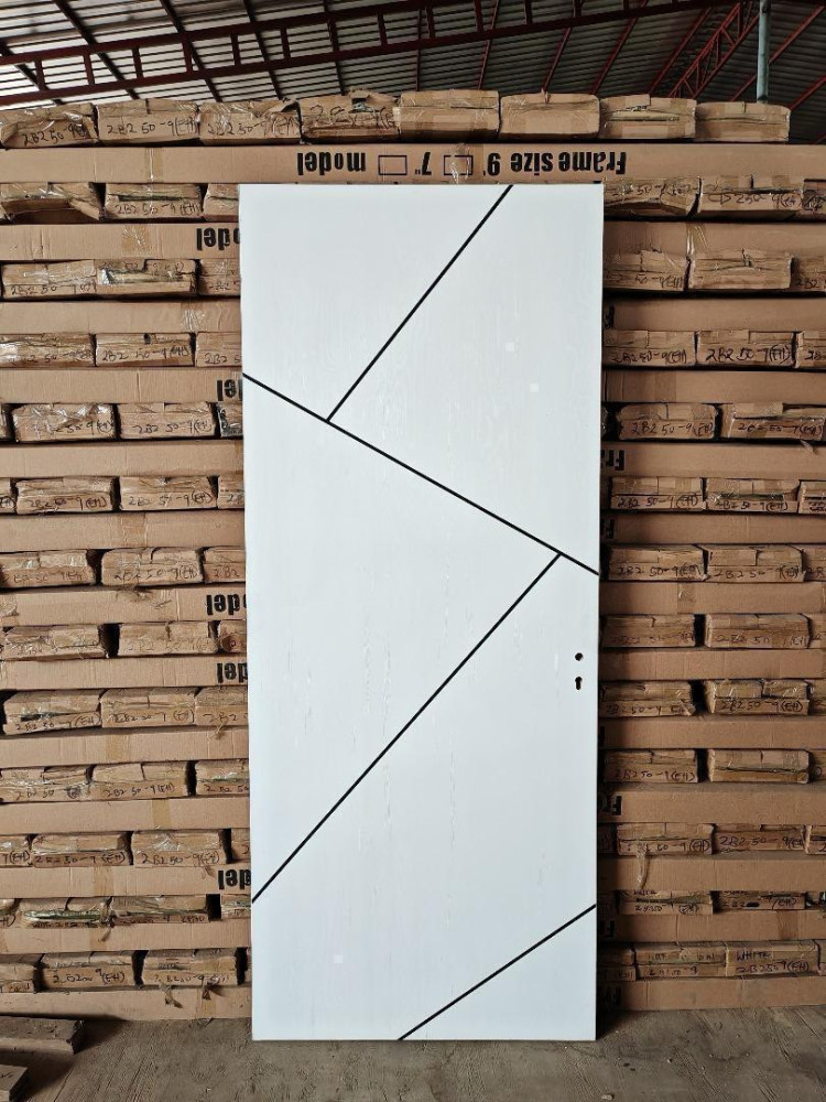 White interior Door with a modern Geometric Line Design