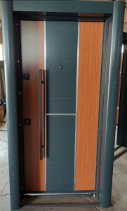 Modern Security Door