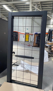 Luxury White Security Door