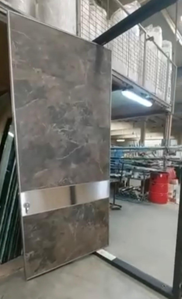 Modern-style Pivot Door