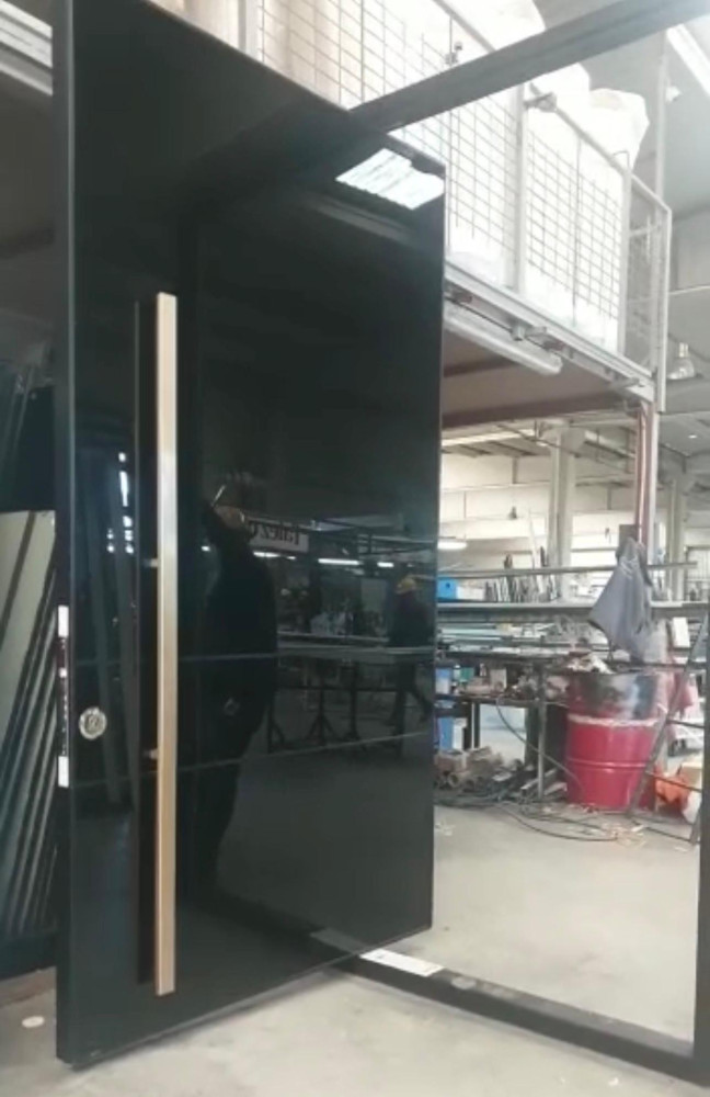 Large Modern Pivot Door