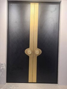 Modern Double door featuring a black finish and a prominent gold vertical accent strip with circular gold handles