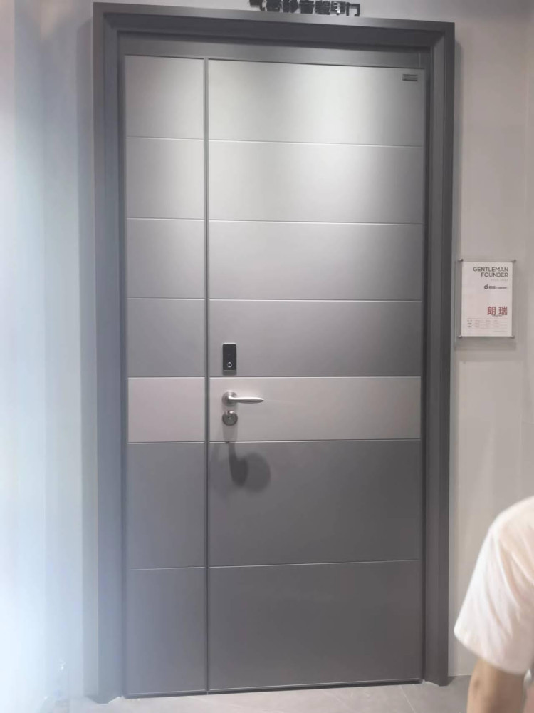 Modern Steel Guard Security Door
