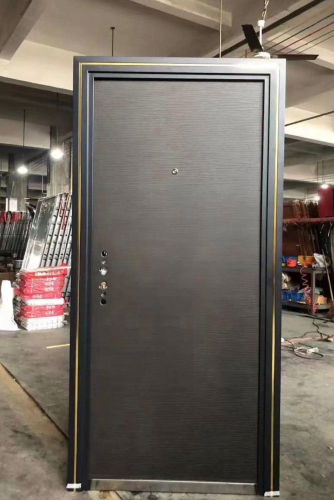 Modern Metal Security Door possibly the Qdoors Etalon Cascade model
