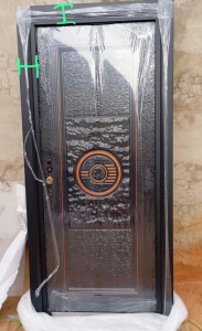Goldline Security Door 