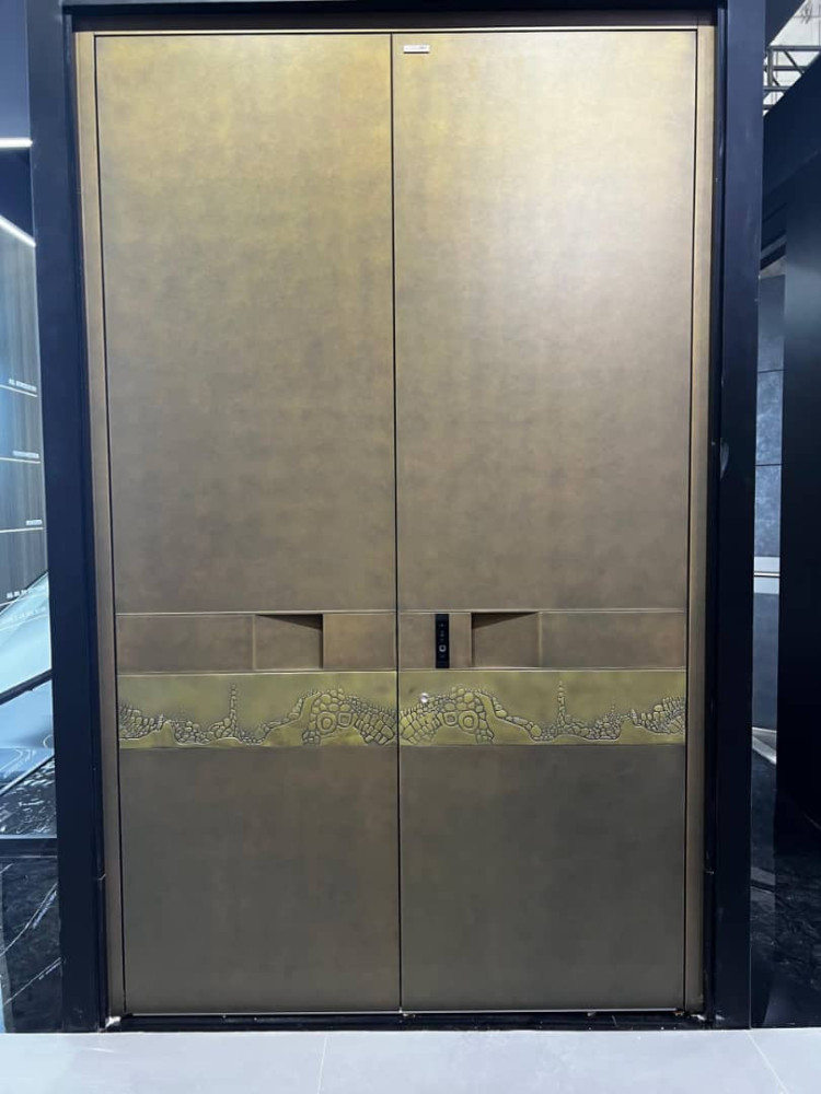 Modern Double Door with a brass finish and decorative bottom panel