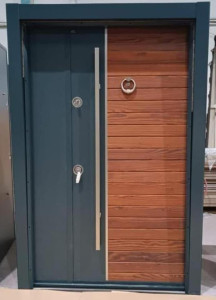 Modern Security door with a Two-panl Design