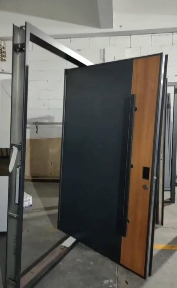 Modern Pivot Door with Black Panel