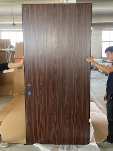 Israeli Security Door