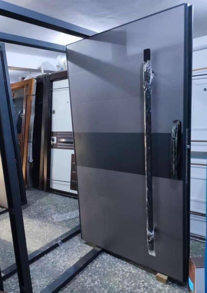 Modern Pivot Security Door