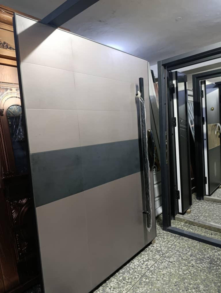 Modern Large Pivot Door