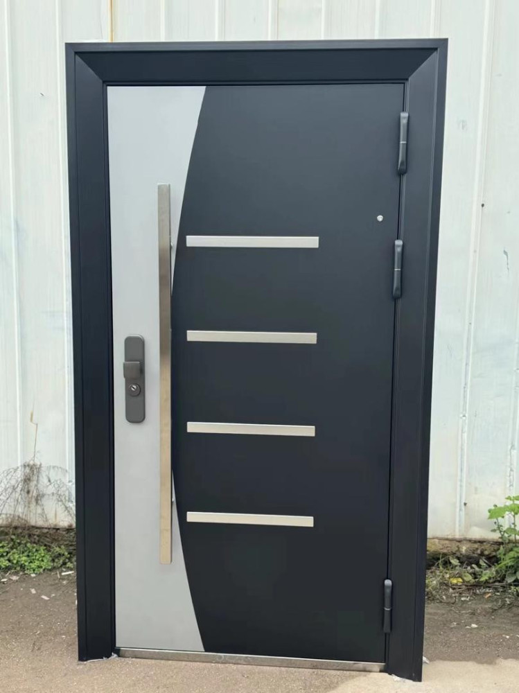 FusionSteel Security Door