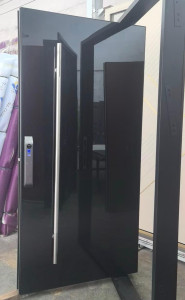 SafeSense Security Door