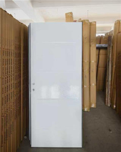 White Panel Door