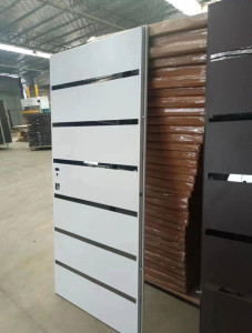 White Isreali Security Door