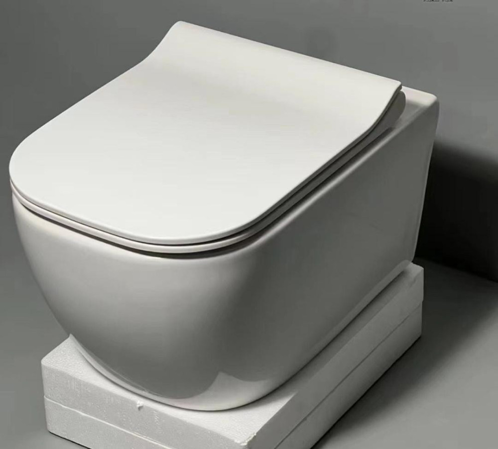 Toilet Seat