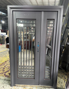 Modern Double Panel Steel Security Door