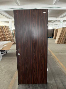 German frameless doors