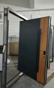 Glass Pivot Door