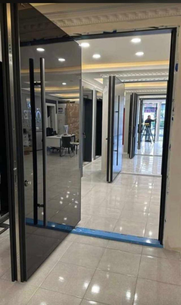 Metal Pivot Door