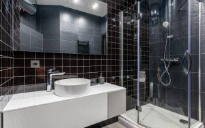 Wash Basin Vanity